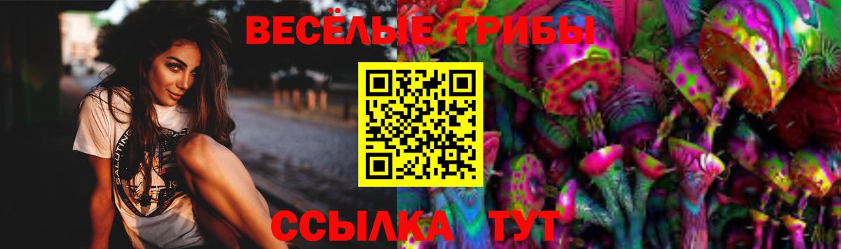 Псилоцибиновые грибы мухоморы Миллерово